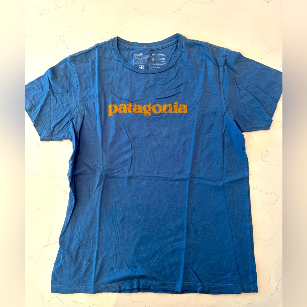 Men’s Large Patagonia Graphic Tshirt